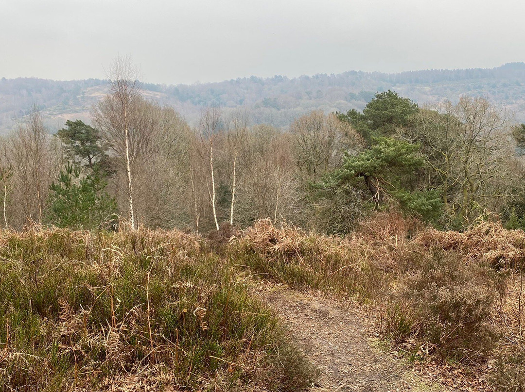 Hindhead Commons and the Devil's Punch Bowl景点图片