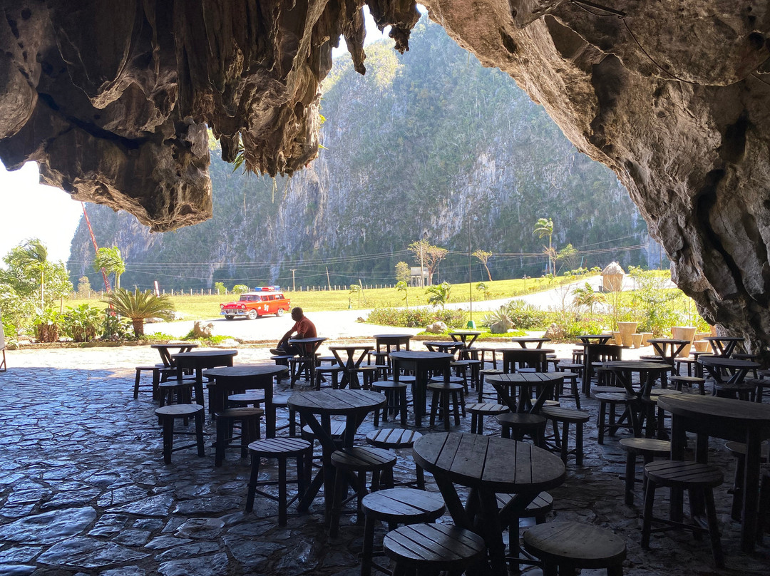 Palenque de los Cimarrones-维纳勒斯必去景点