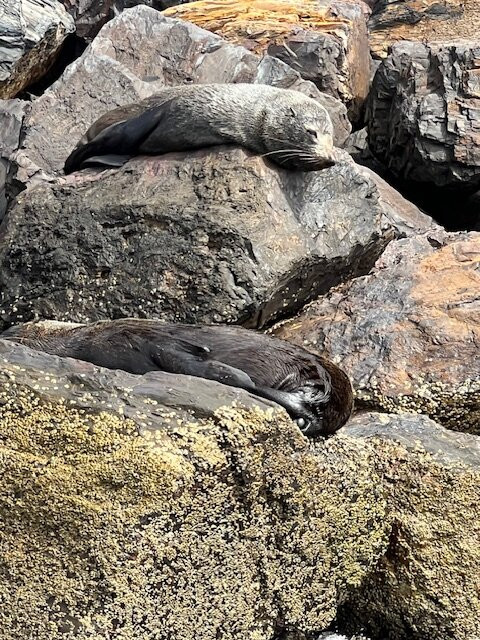 Whyalla Marina-Whyalla必去景点