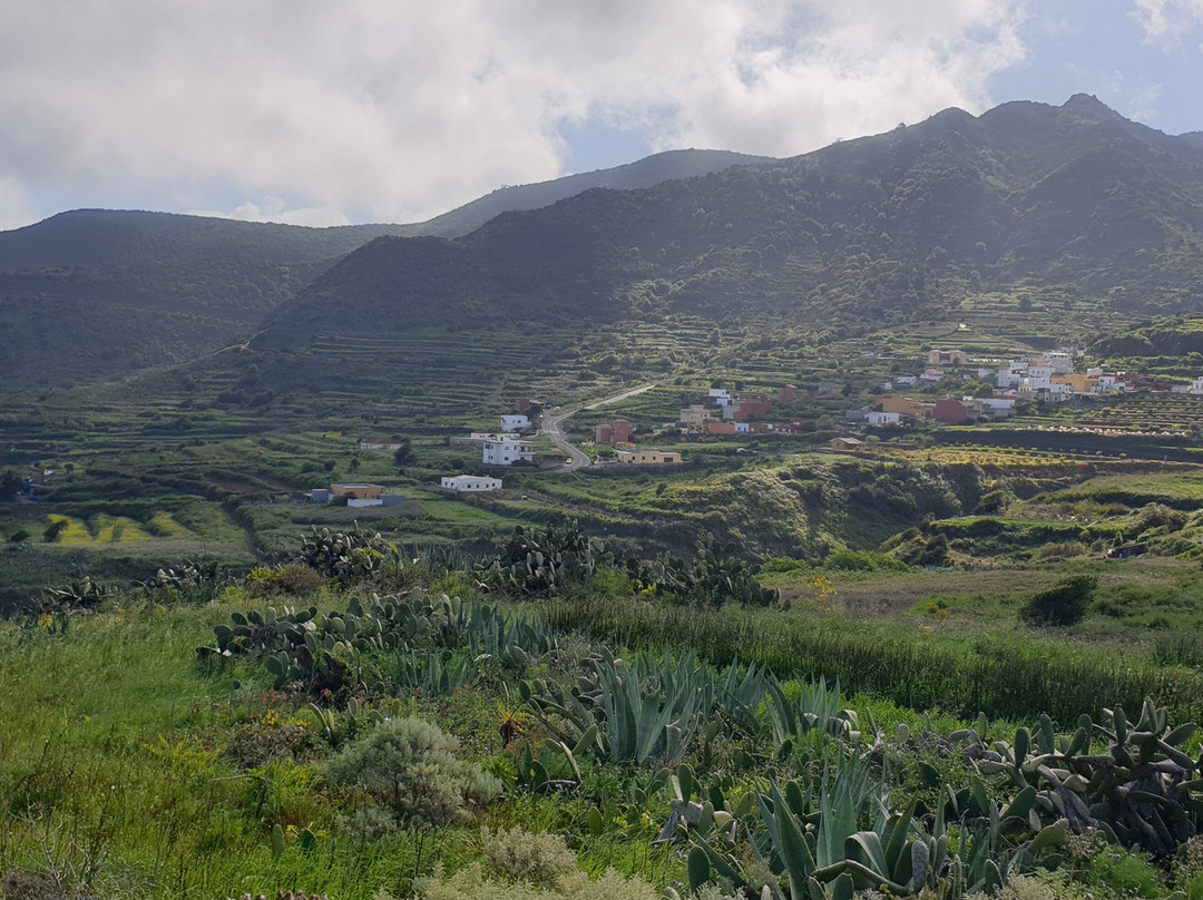 Sergio Walking Tours-特纳里夫必去景点