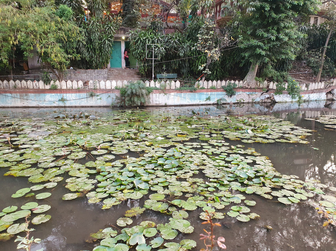 Saras Baug景点图片