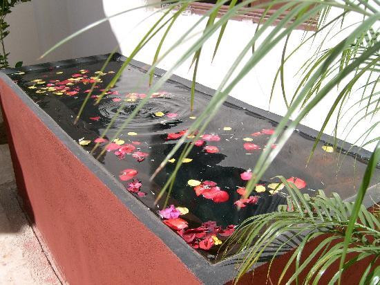 Hotel Boutique San Felipe El Real主图