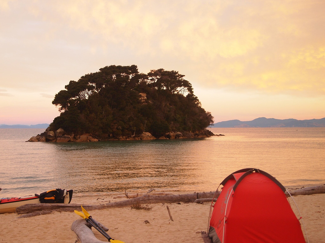 Golden Bay Kayaks-塔卡卡必去景点