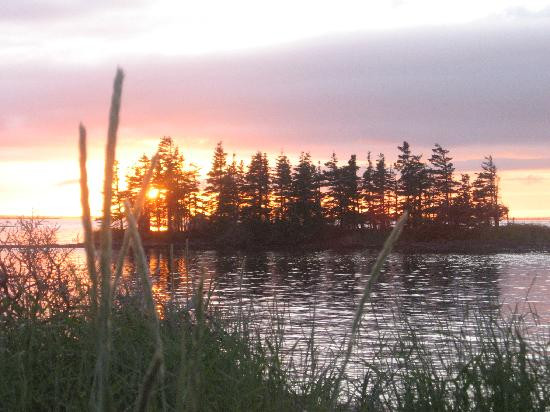 Glacier Manor Resort主图