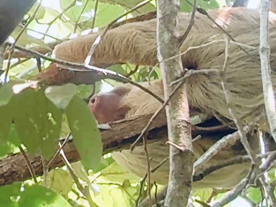 Wil Tours-Savegre必去景点