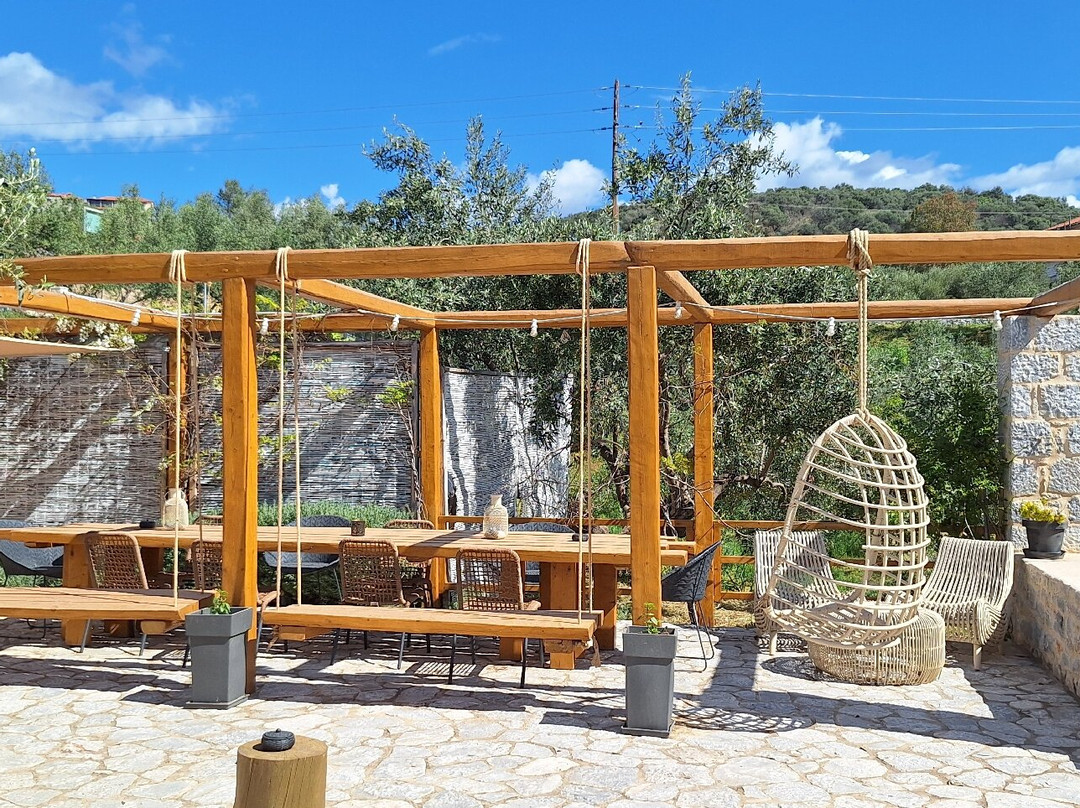 The Olive Yard -Boutique Hotel主图