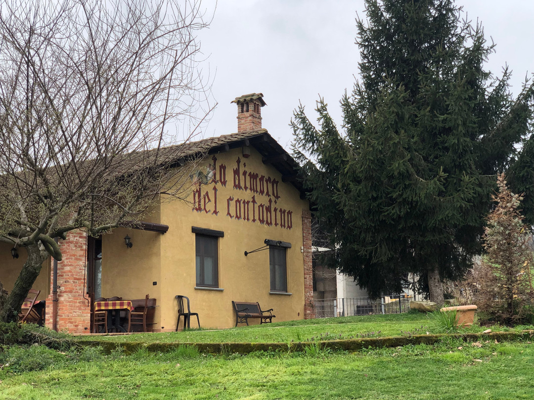 Agriturismo La Dimora del Contadino主图