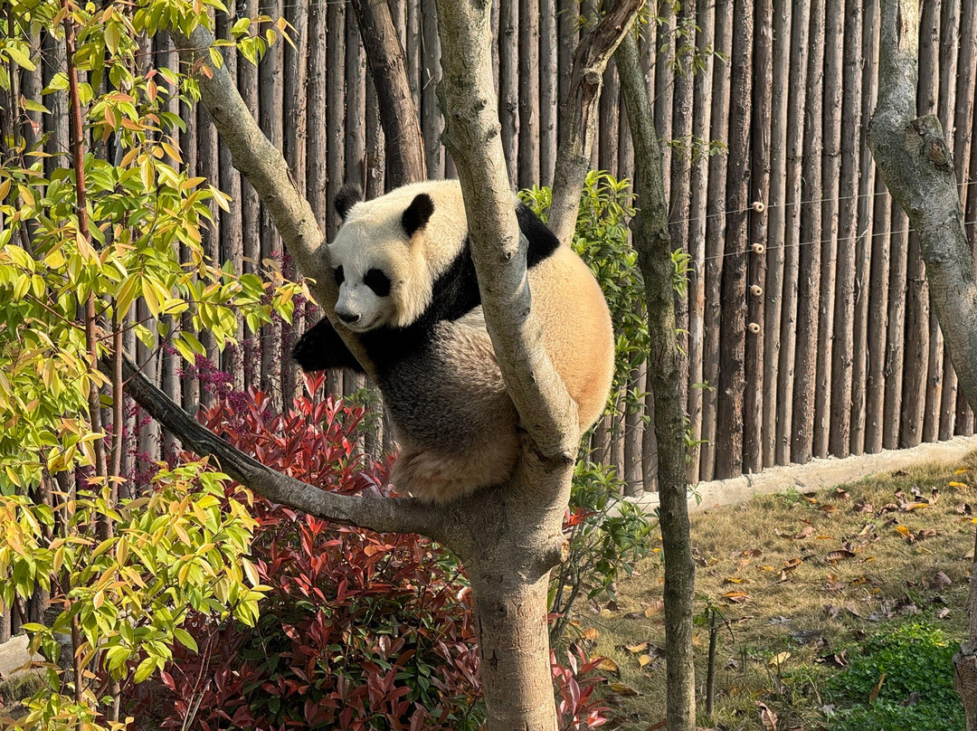 China Highlights景点图片