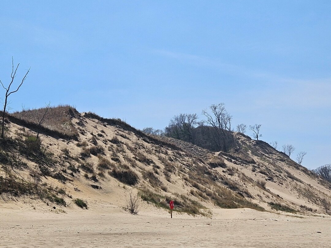 Indiana Dunes National Park景点图片