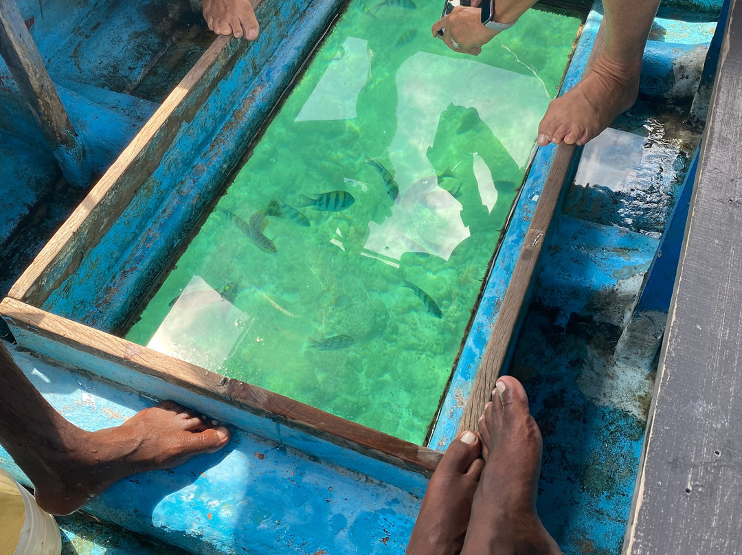 Coral Sanctuary-希克杜沃必去景点