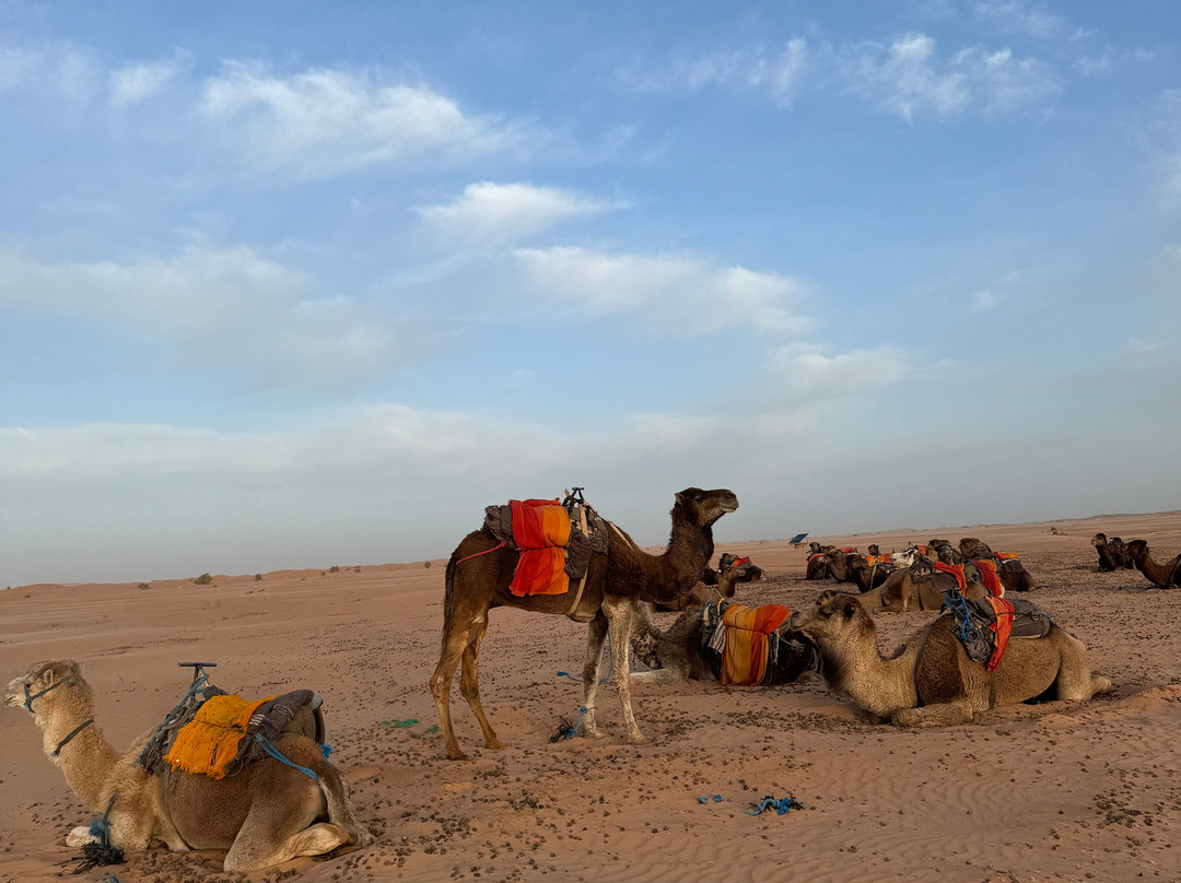 Morocco Desert Lines-Hassilabied必去景点