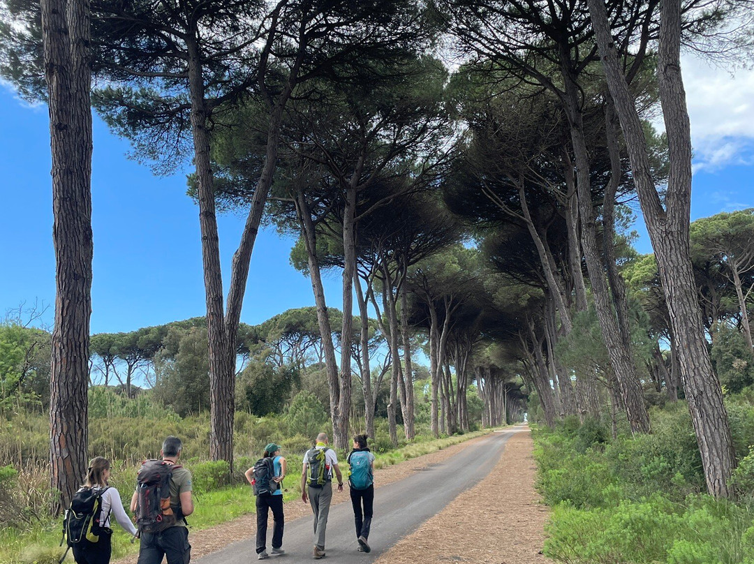 Parco Regionale Migliarino San Rossore Massaciuccoli-比萨必去景点