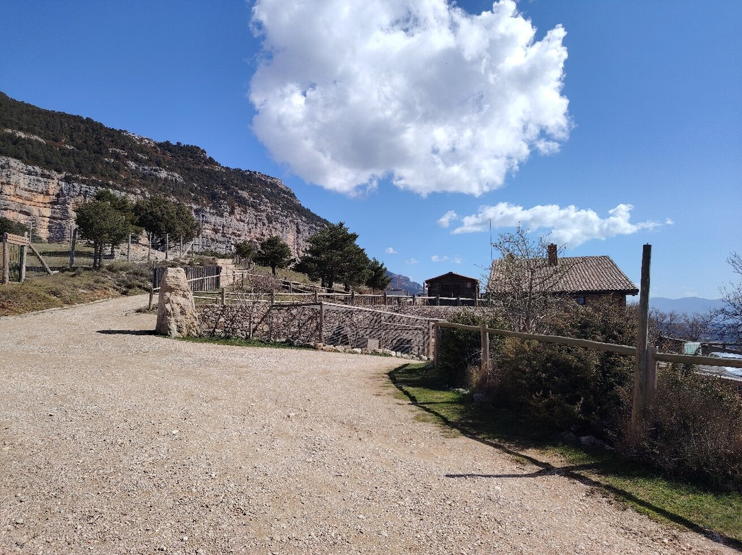 Zoo Del Pirineu景点图片