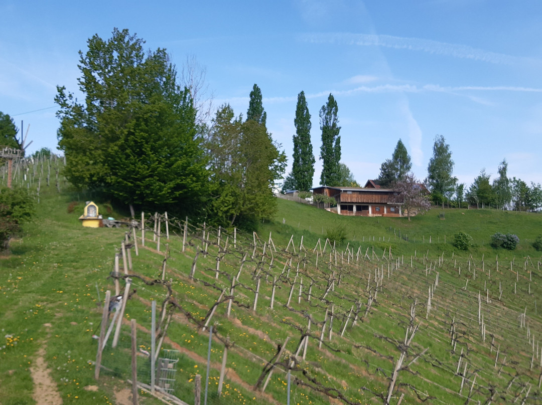 Toso Genussreich主图