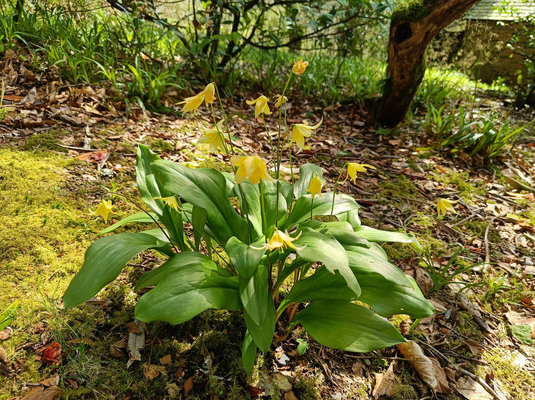 Craigieburn Garden & Nursery