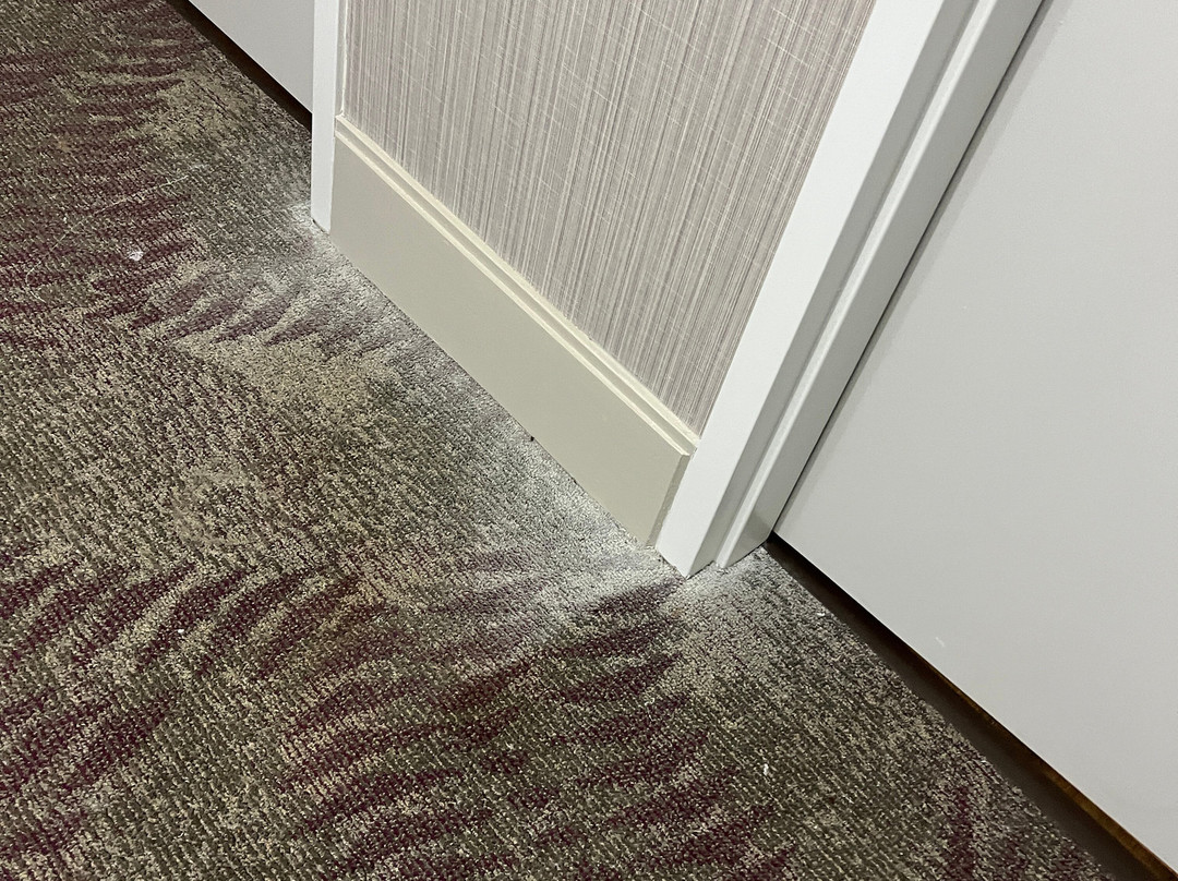 Best Western Potsdam University Park Inn主图