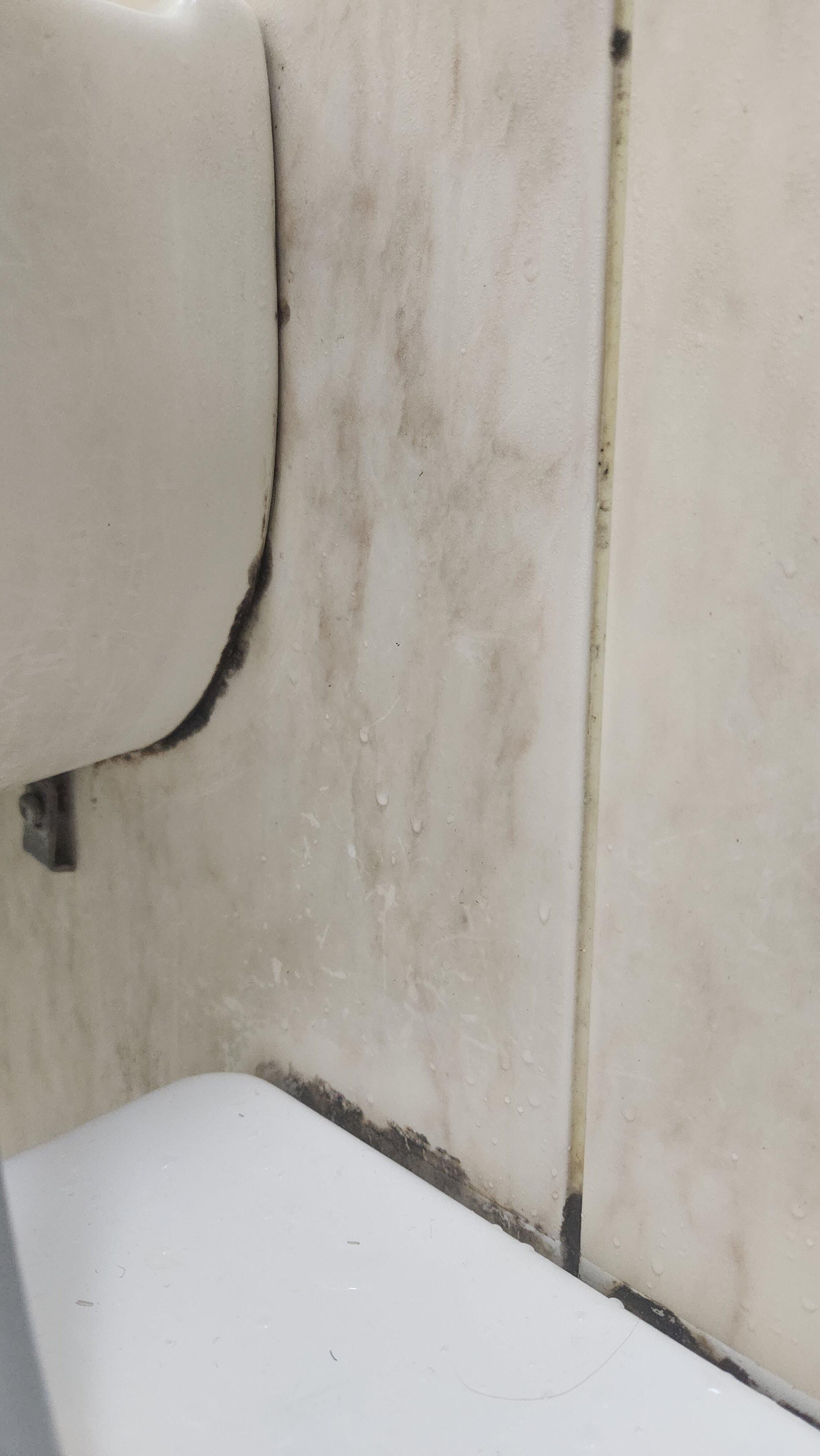 MYSTAYS 浅草酒店-官方