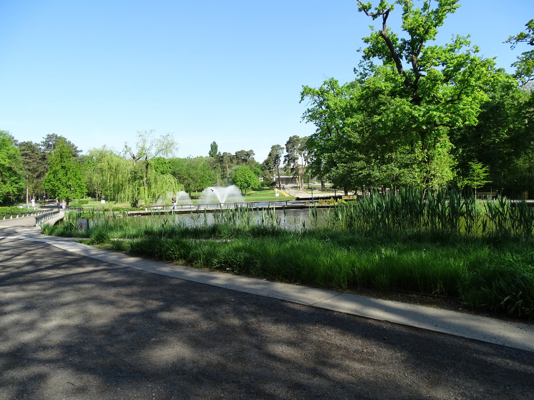 Nagyerdei Park景点图片
