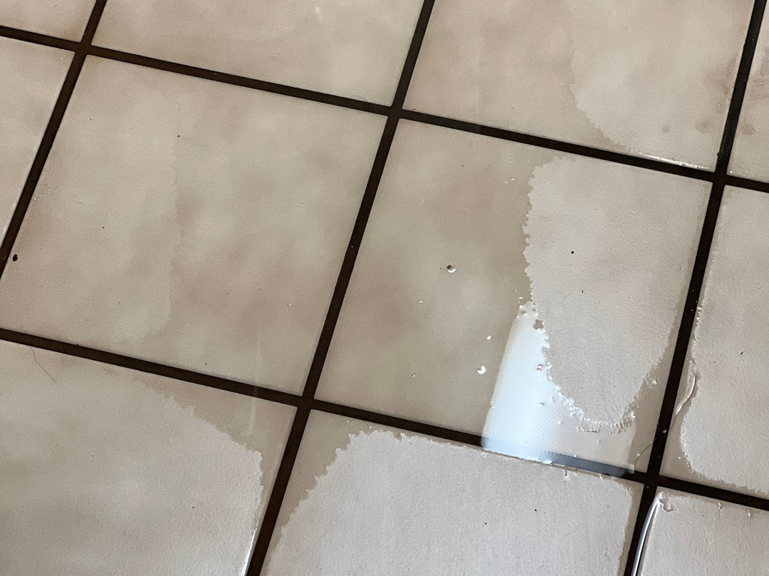 劳雷尔汽车旅馆主图