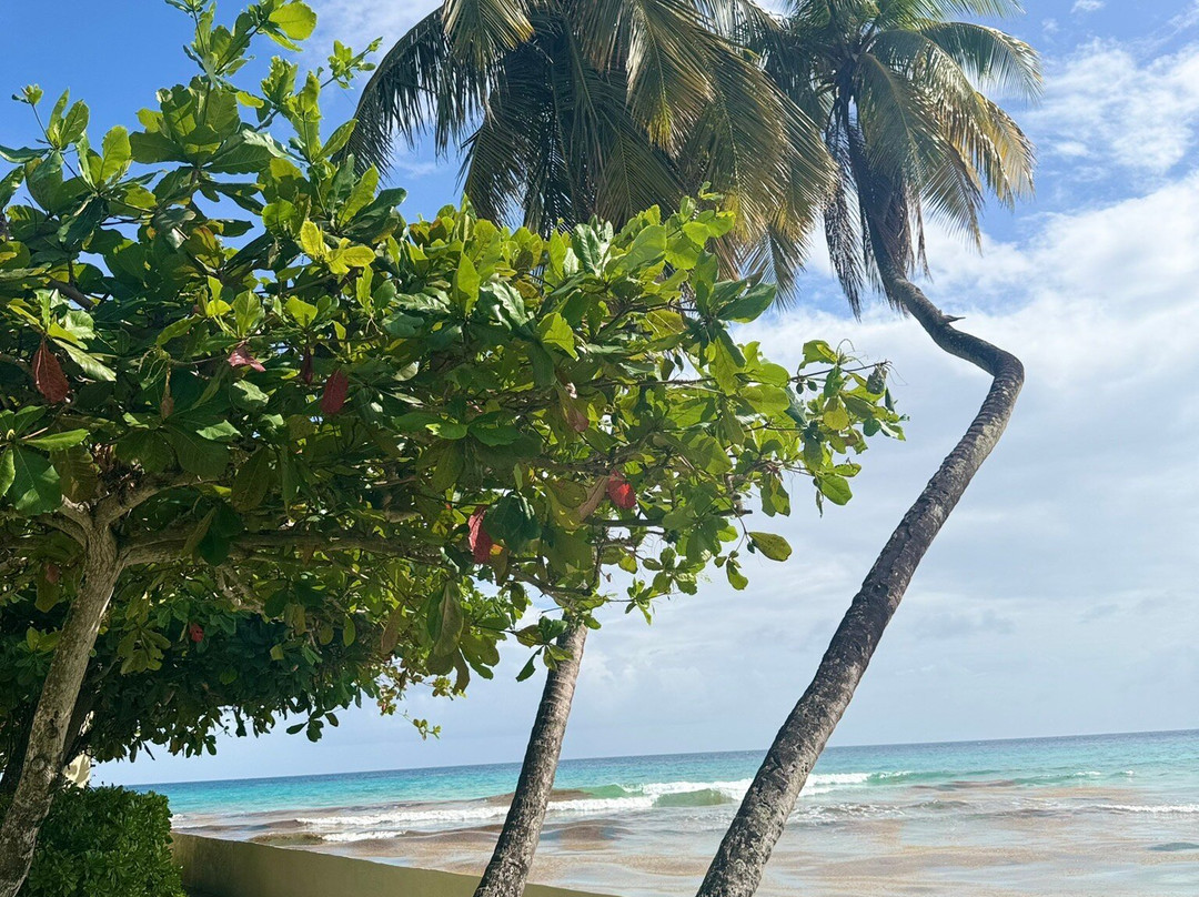 Maresol Beach Apartments主图