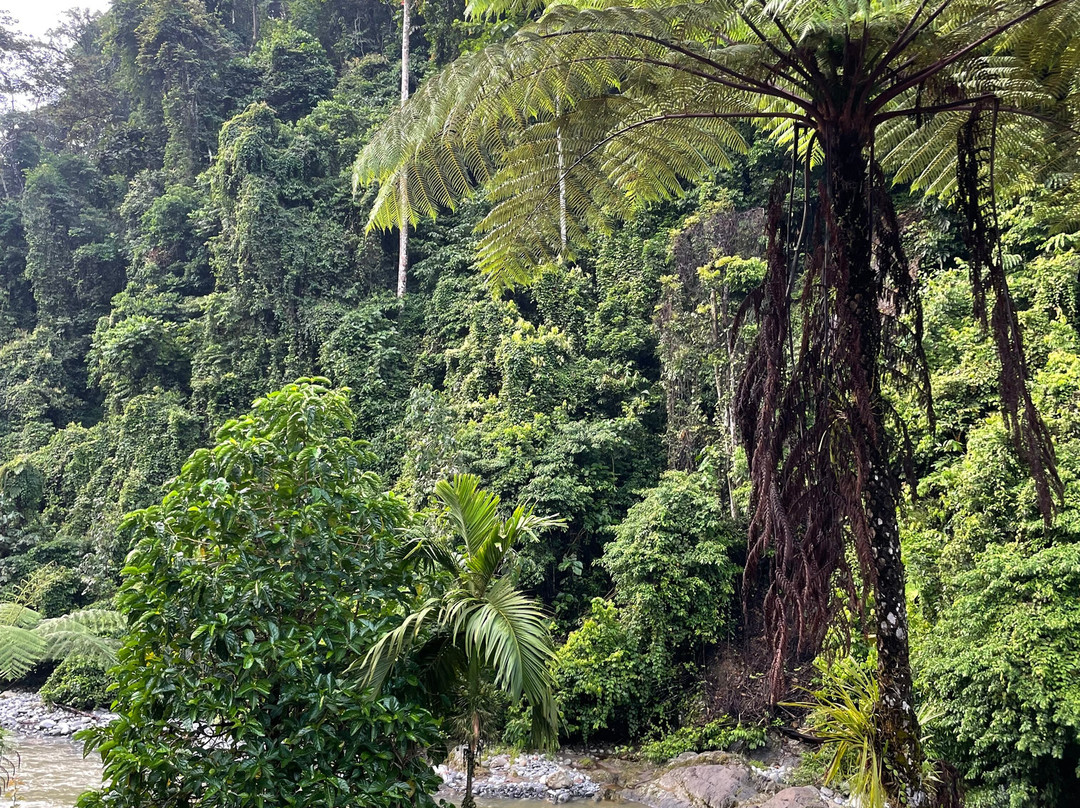 Back to Nature Ecotourism主图