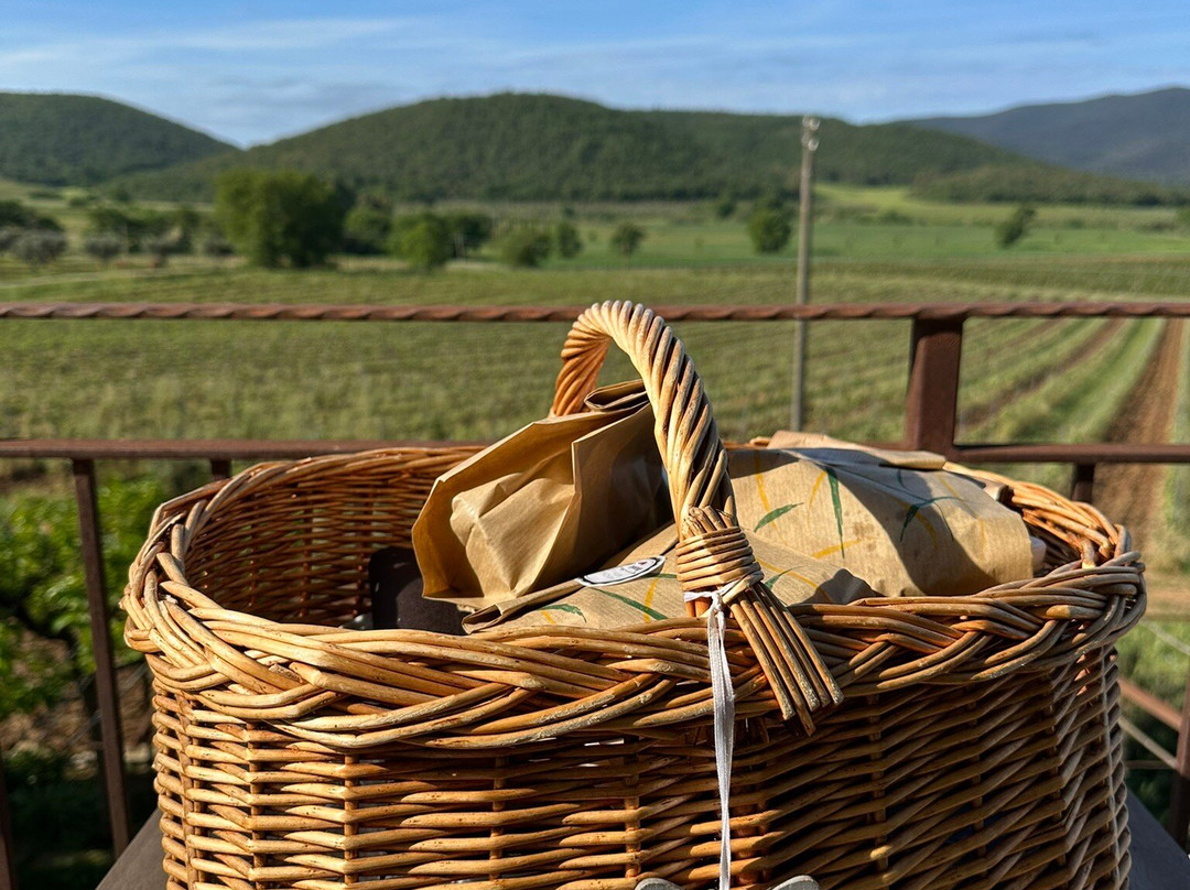 Poggiolivi Agriturismo Bio In Maremma主图