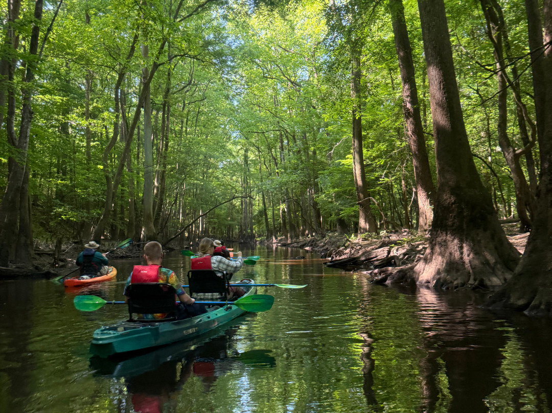 Carolina Outdoor Adventures景点图片