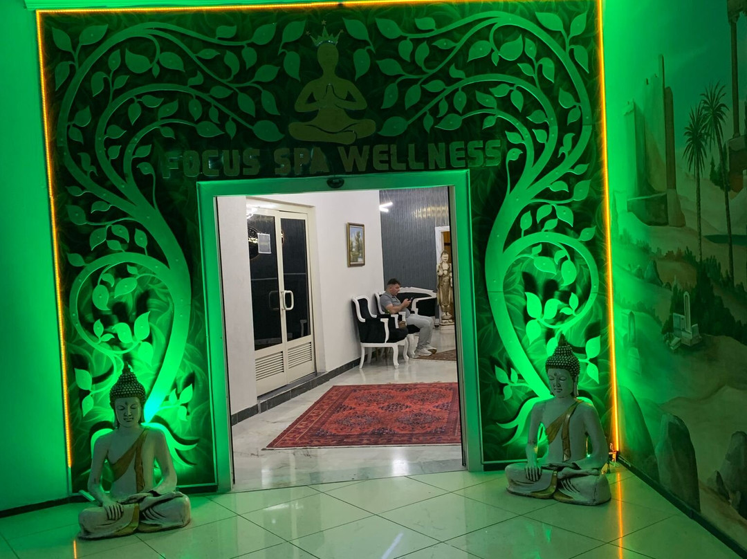 Focus Spa Wellness景点图片