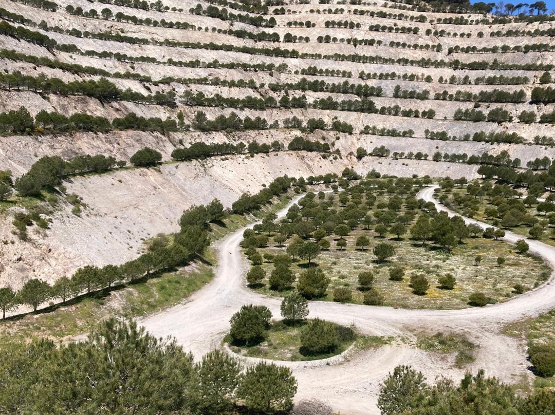 Villa Conmigo Bed and Breakfast主图