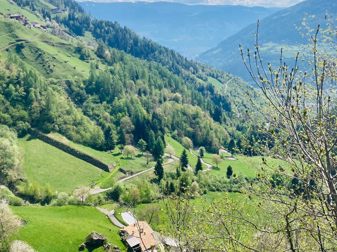 Hotel Obermoosburg主图