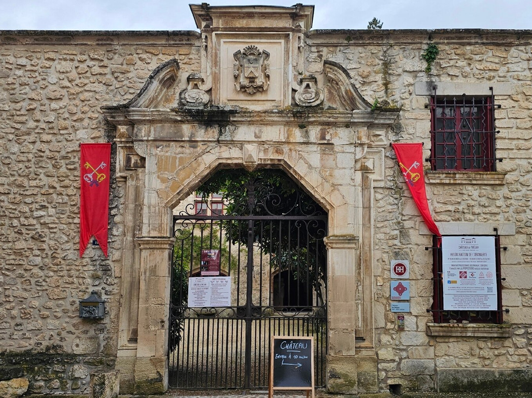 Château De Thézan景点图片