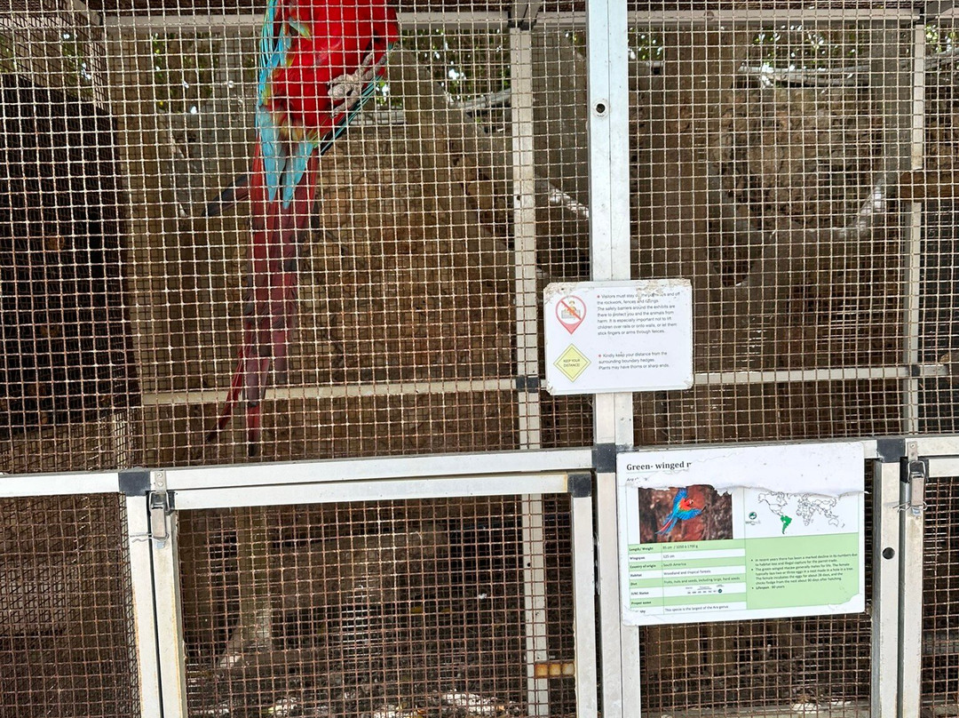 Birdpark Malta-Salina必去景点