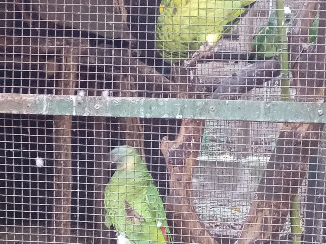 Eco de América-América必去景点