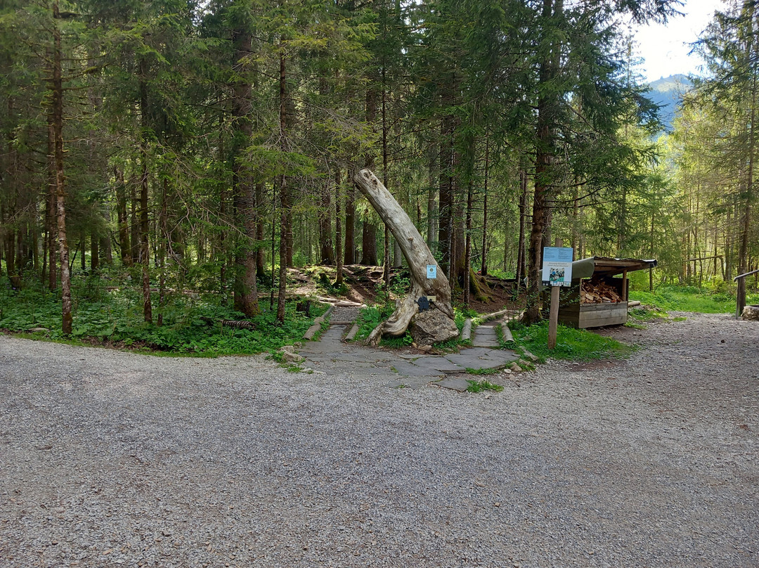 Schwarzsee Lac Noir-施瓦茨塞湖必去景点