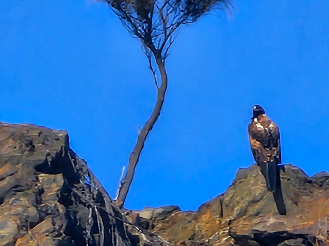 RAD KI-Stokes Bay必去景点