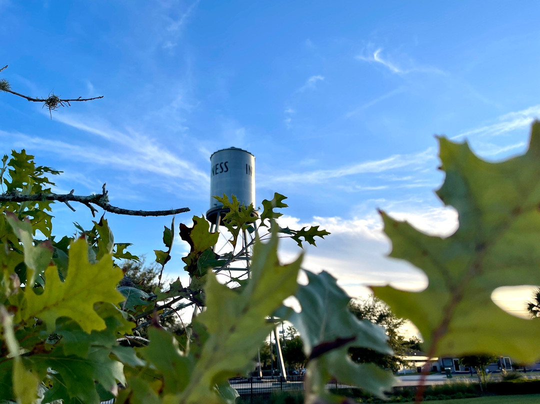 Liberty Park-因弗内斯必去景点