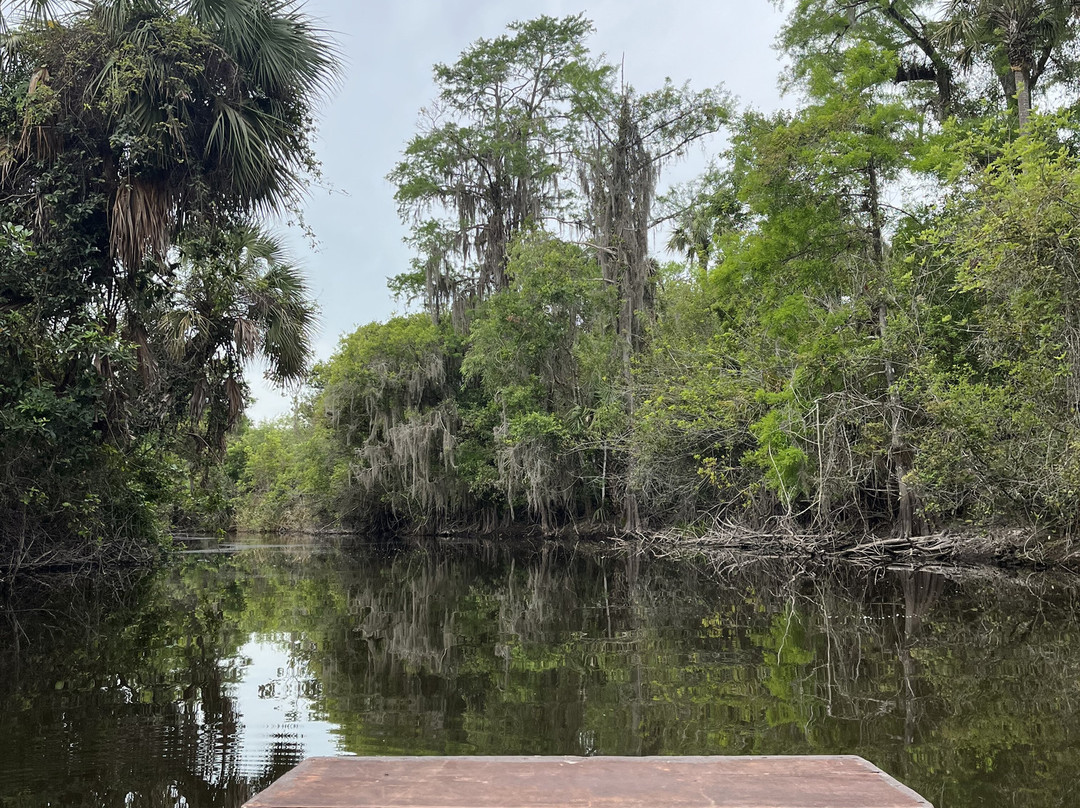 Everglades Adventure Tours-奥乔皮必去景点