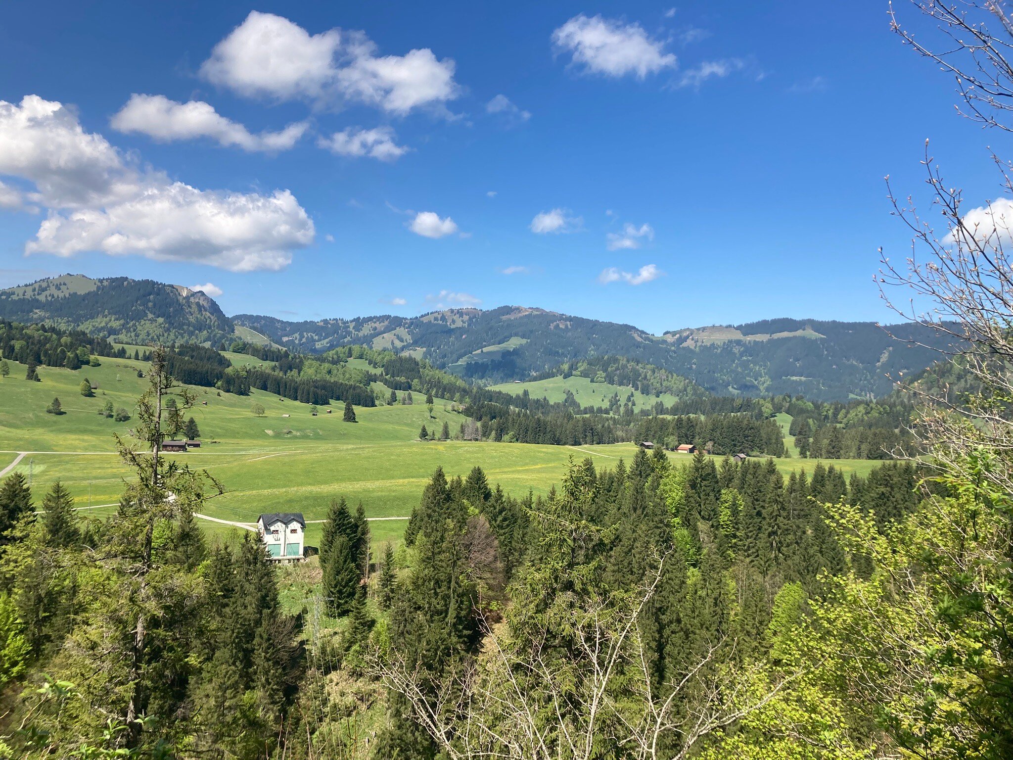 Gasthof Enzian-官方