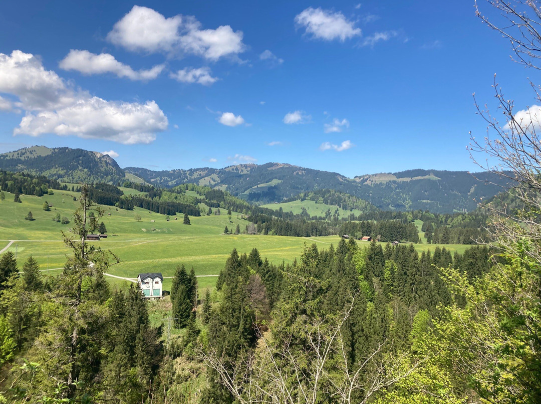 Gasthof Enzian主图