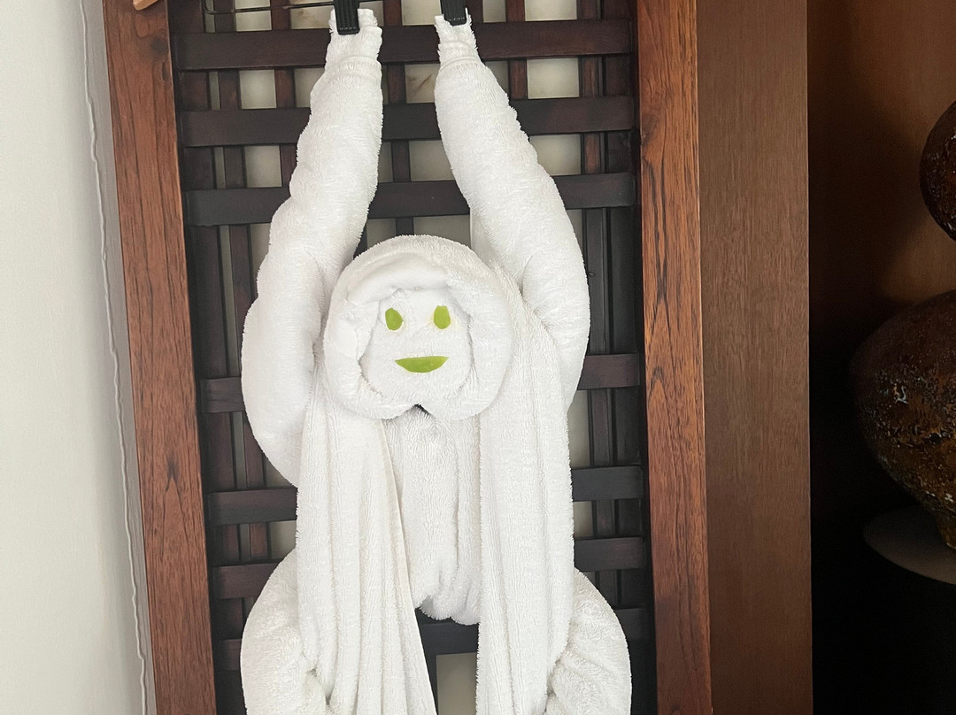 康斯丹哈拉薇莉度假村主图