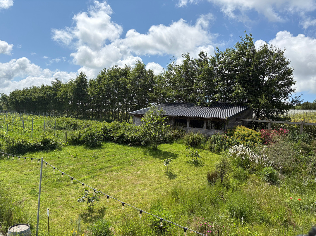 Trevibban Mill Vineyard & Orchard-Wadebridge必去景点