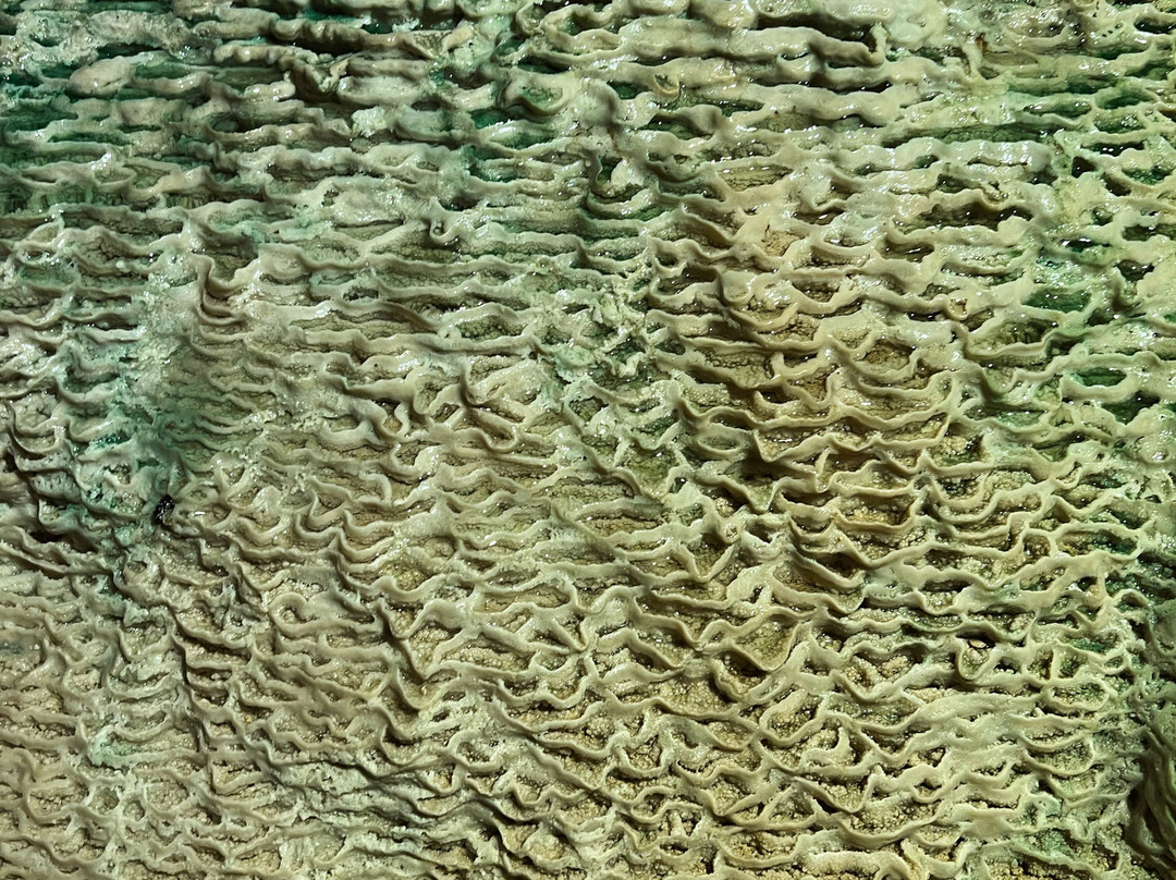 Florida Caverns State Park-Marianna必去景点