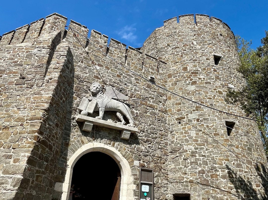 Castello di Gorizia景点图片