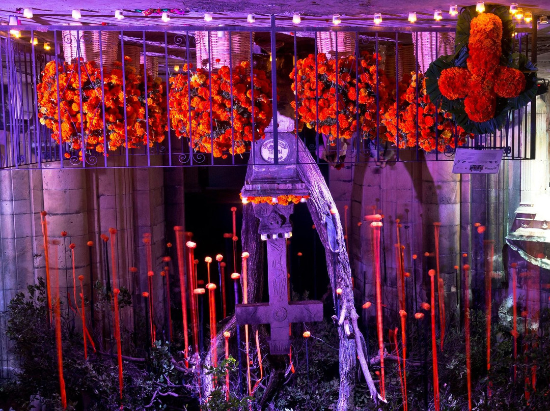 Panteón General-瓦哈卡必去景点