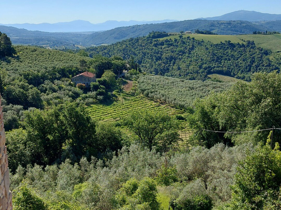 La Locanda Del Colle主图