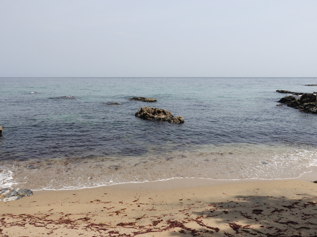 Gamchu Beach-东海市必去景点