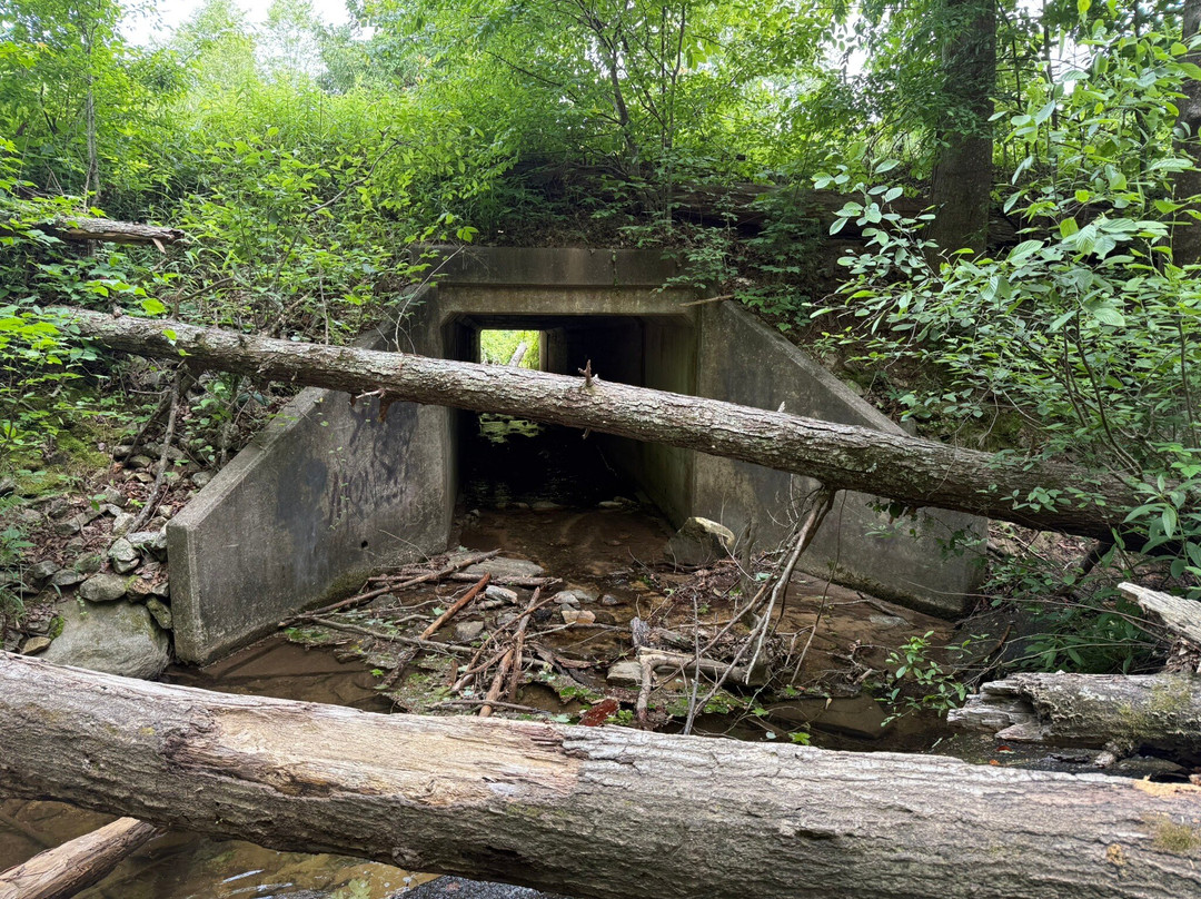 Wildcat Wayside Mountain Bridge Wilderness Area景点图片