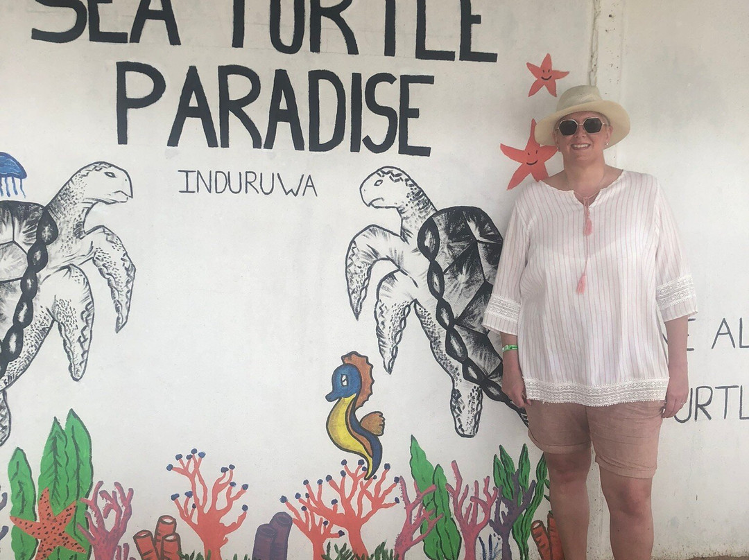 Induruwa Sea Turtle Conservation Project & Sea Turtle Information Center景点图片
