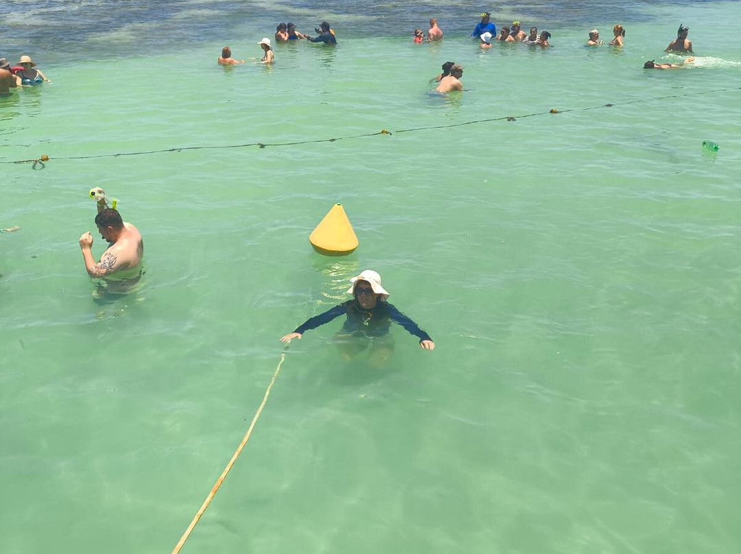 Taocas-Maragogi必去景点