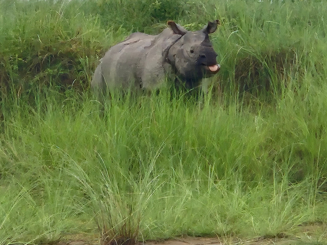Nature Encounter Tour景点图片